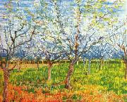 Vincent Van Gogh Orchard in Blossom oil painting
